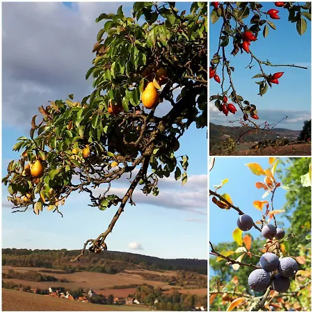 Gästewohnung Leinetal Alfeld (Lower-Saxony)