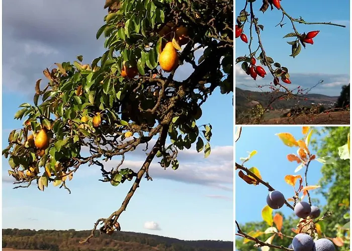 Gaestewohnung Leinetal 알펠드